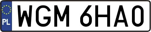 WGM6HA0