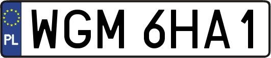 WGM6HA1