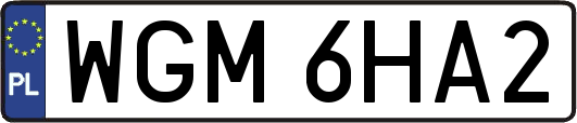 WGM6HA2