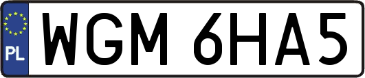 WGM6HA5