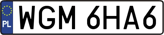 WGM6HA6