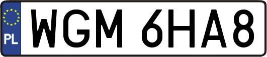 WGM6HA8