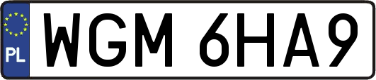 WGM6HA9
