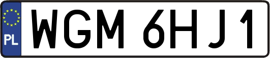 WGM6HJ1
