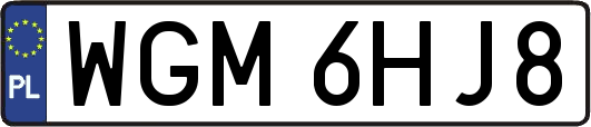 WGM6HJ8