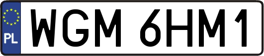 WGM6HM1