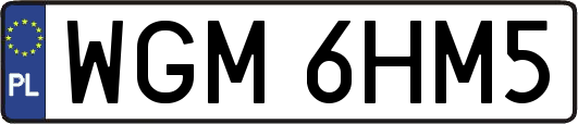WGM6HM5