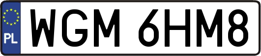 WGM6HM8