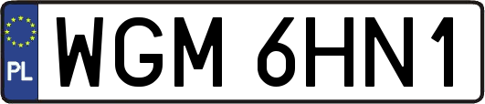 WGM6HN1