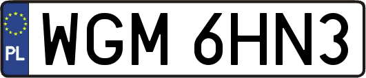 WGM6HN3