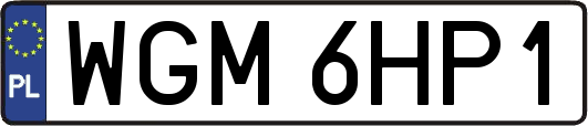 WGM6HP1