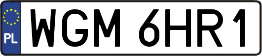 WGM6HR1