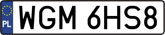 WGM6HS8