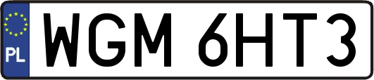 WGM6HT3