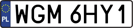 WGM6HY1