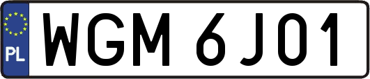 WGM6J01