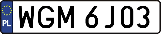 WGM6J03