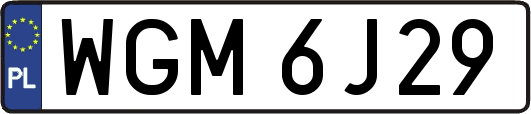WGM6J29