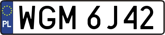 WGM6J42