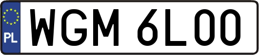 WGM6L00