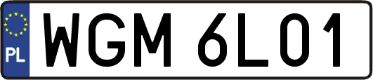 WGM6L01