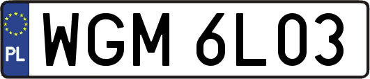 WGM6L03