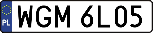 WGM6L05