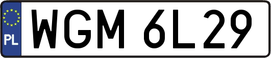 WGM6L29