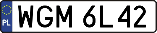 WGM6L42