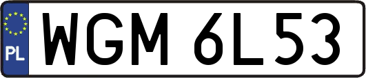 WGM6L53