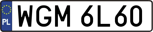 WGM6L60