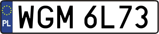 WGM6L73