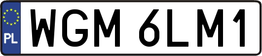 WGM6LM1