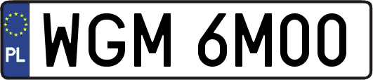 WGM6M00