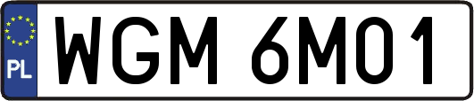 WGM6M01