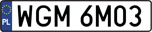 WGM6M03
