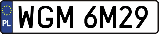 WGM6M29