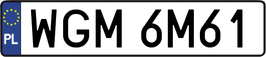 WGM6M61