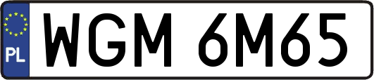 WGM6M65