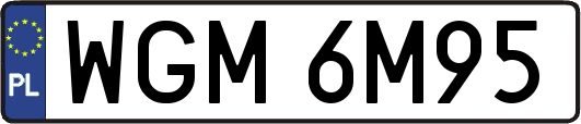 WGM6M95