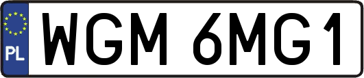 WGM6MG1