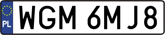 WGM6MJ8