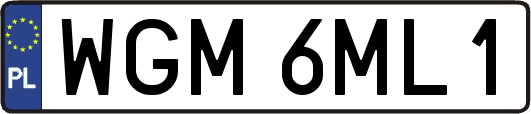 WGM6ML1