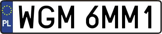 WGM6MM1