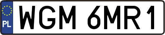 WGM6MR1