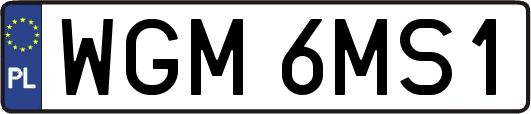 WGM6MS1