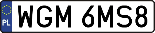 WGM6MS8