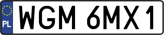 WGM6MX1