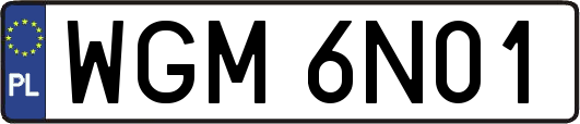 WGM6N01