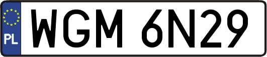 WGM6N29